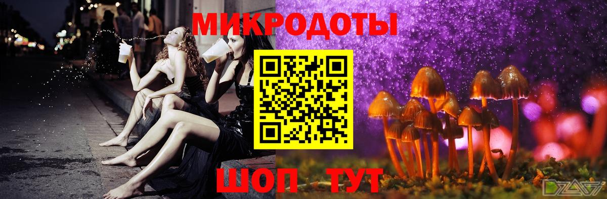 Галлюциногенные грибы Cubensis Саратов